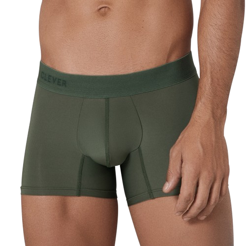 Boxer basic classique