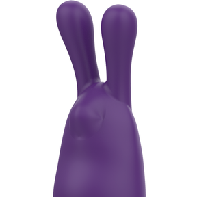 Mini lapin